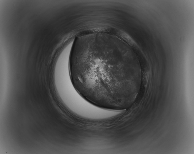 X0000087010734200704161541