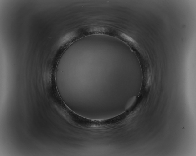 X0000087010735200704161541