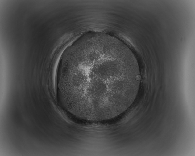 X0000087010738200704161541