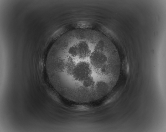X0000087010741200704161541
