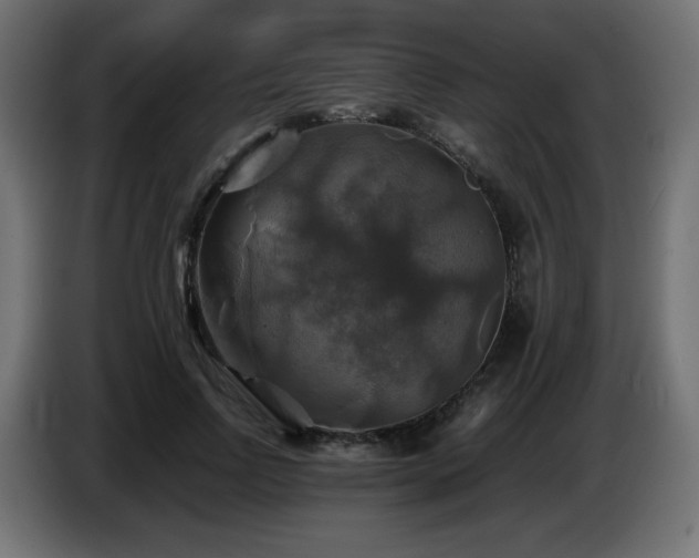 X0000087010742200704161541