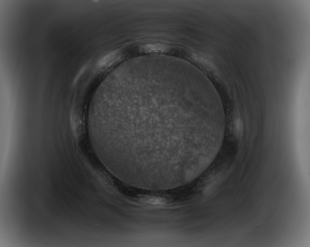 X0000087010743200704161541