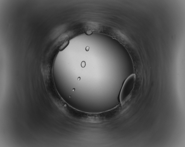 X0000087010744200704161541