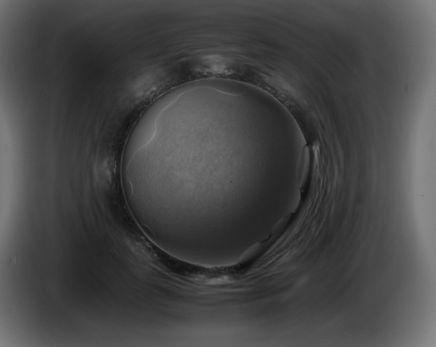 X0000087010747200704161541