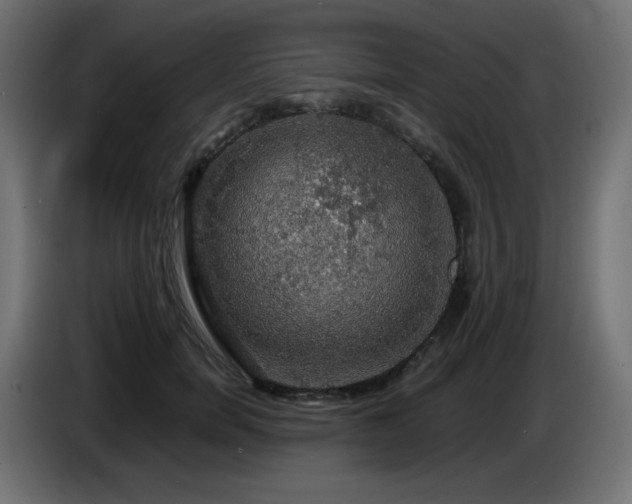 X0000087010750200704161541