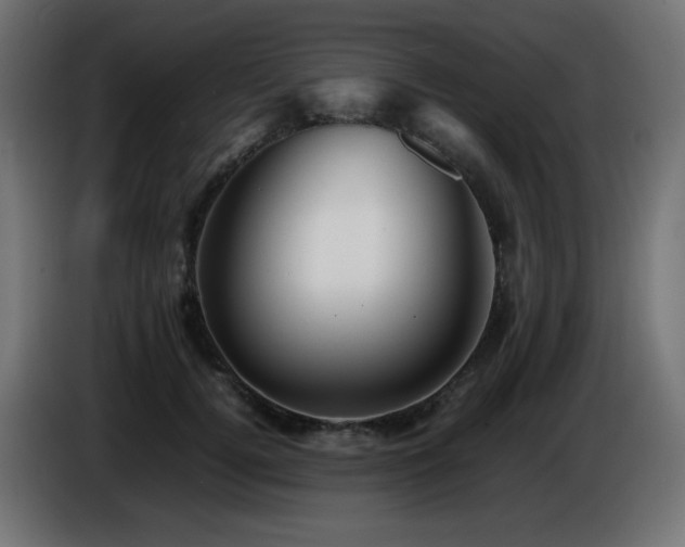 X0000087010752200704161541