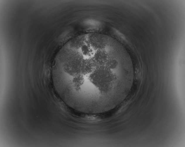 X0000087010753200704161541