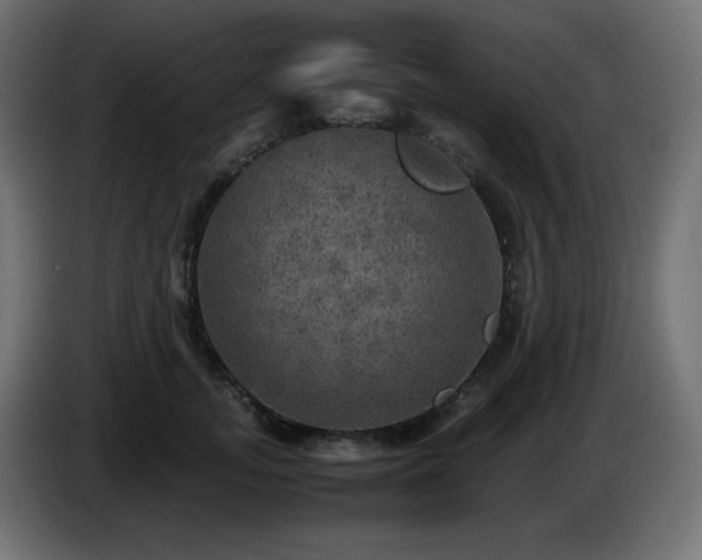 X0000087010755200704161541