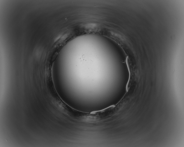 X0000087010756200704161541
