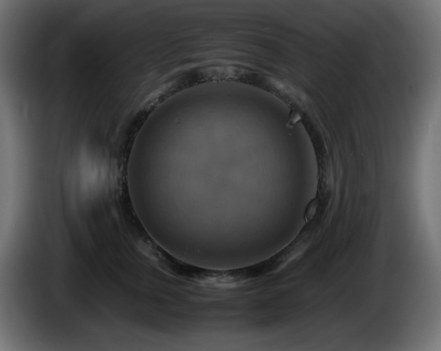 X0000087010759200704161542