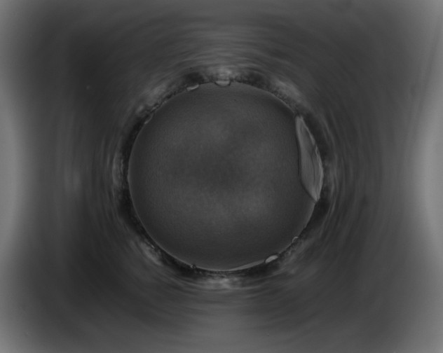 X0000087010760200704161542