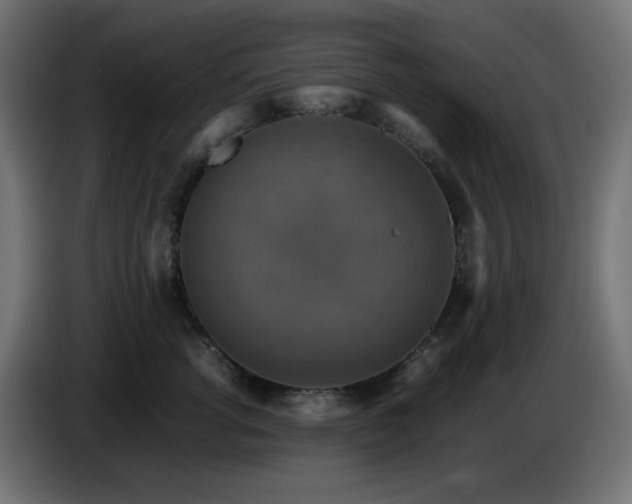 X0000087010762200704161542