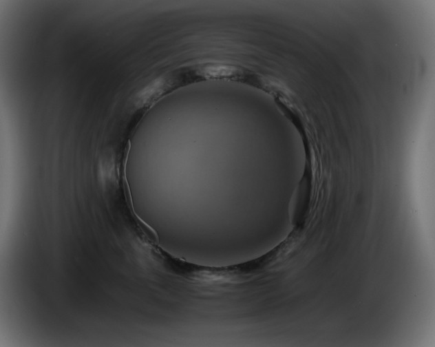 X0000087010763200704161542