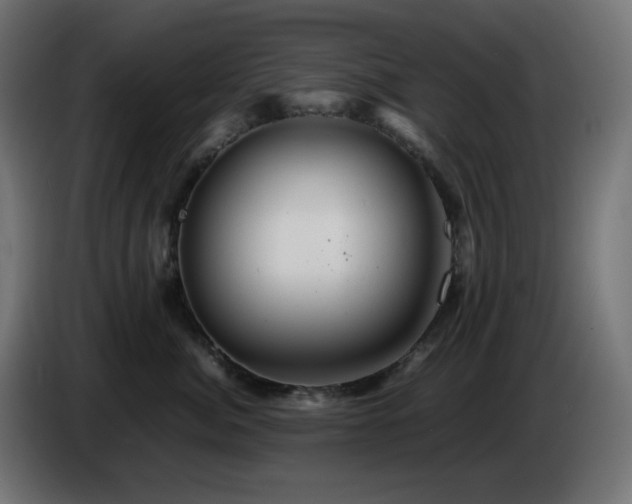 X0000087010764200704161542