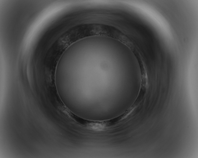 X0000087010765200704161542