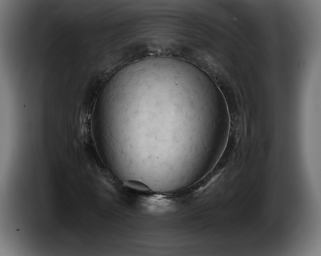 X0000087010770200704161541