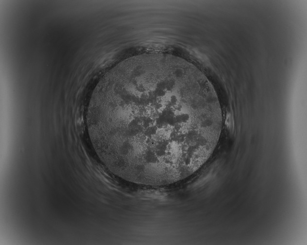 X0000087010771200704161541