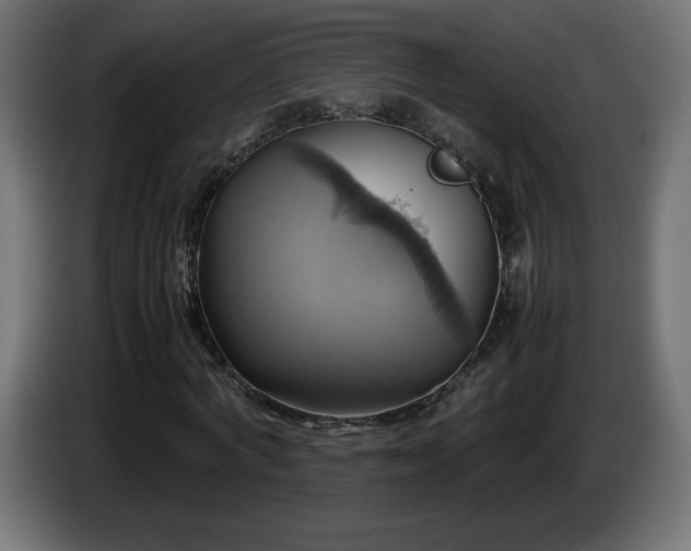 X0000087010772200704161541