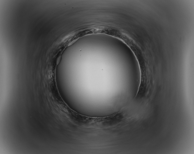 X0000087010773200704161541