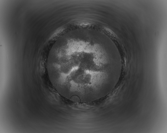 X0000087010774200704161541