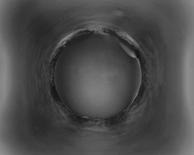 X0000087010775200704161541