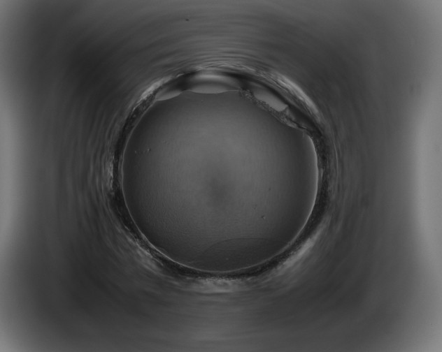 X0000087010777200704161541