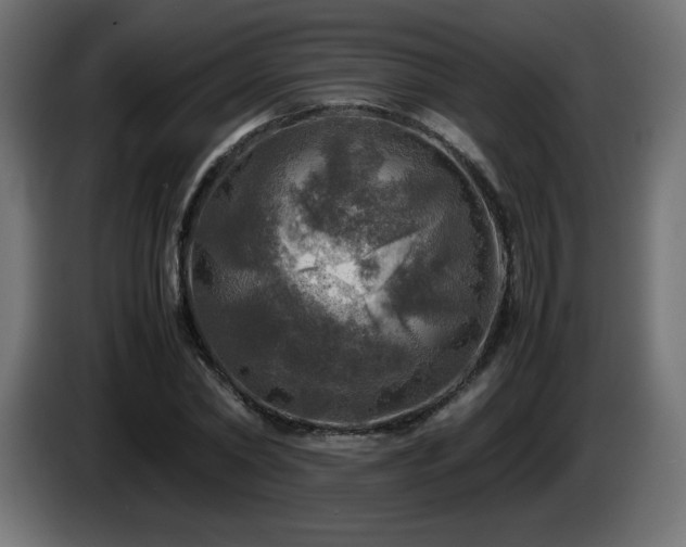 X0000087010782200704161541