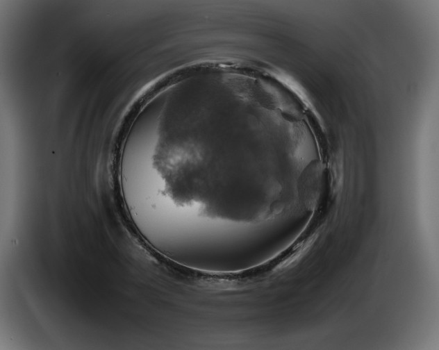 X0000087010783200704161541