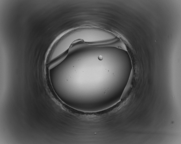 X0000087010784200704161541