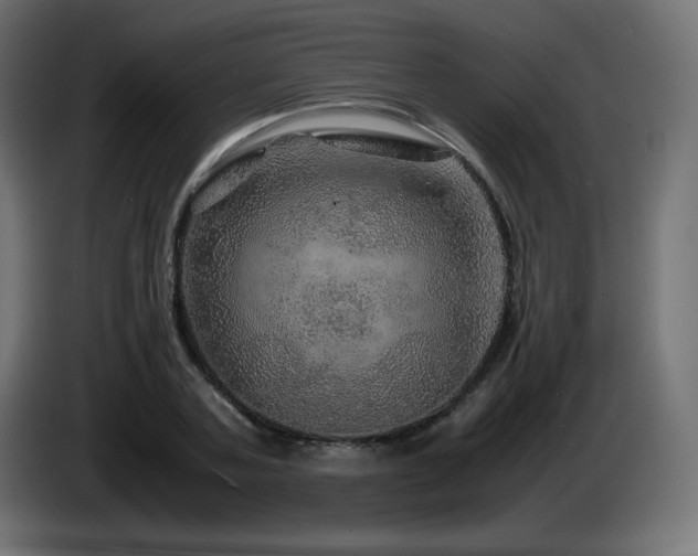 X0000087010787200704161541