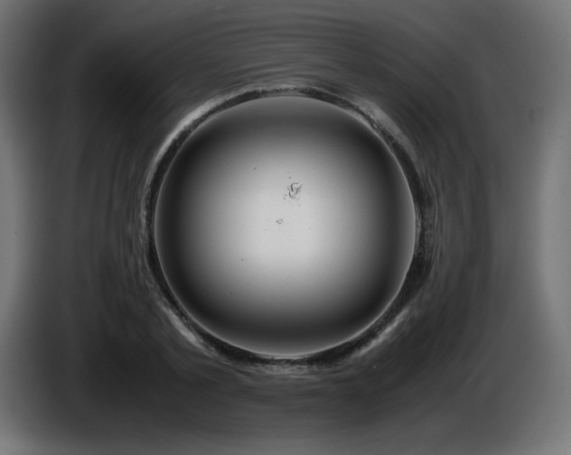 X0000087010789200704161541