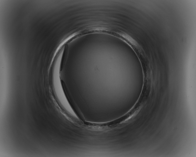 X0000087010790200704161541