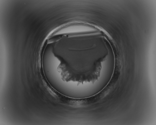 X0000087010791200704161541