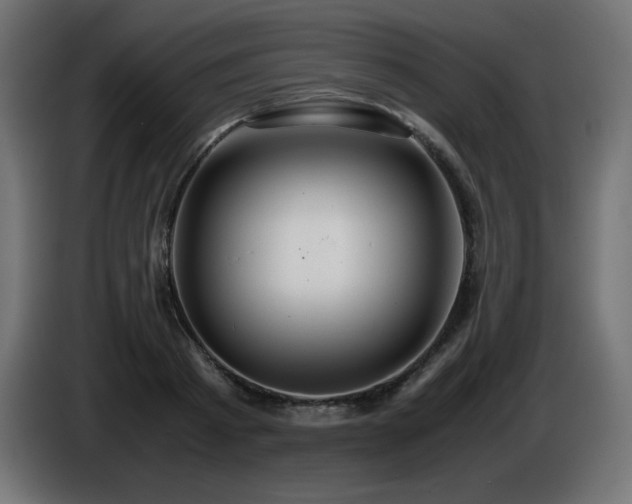X0000087010793200704161541