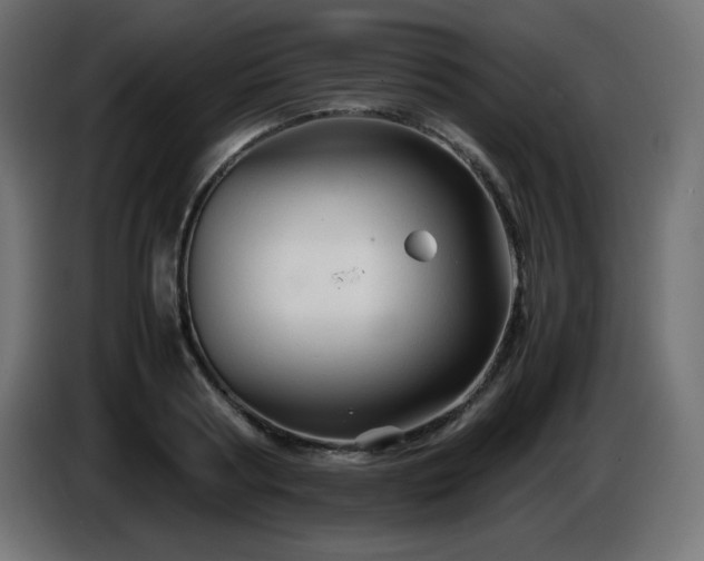 X0000087010794200704161541