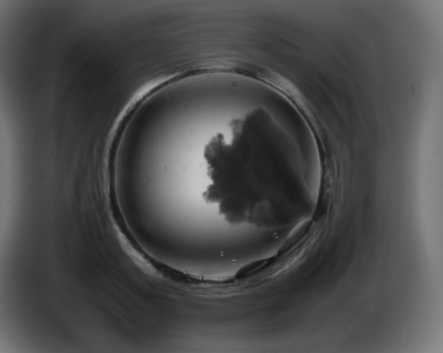 X0000087010795200704161541