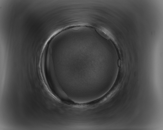 X0000087010797200704161541
