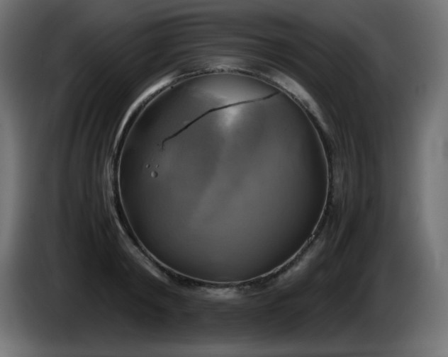 X0000087010798200704161541