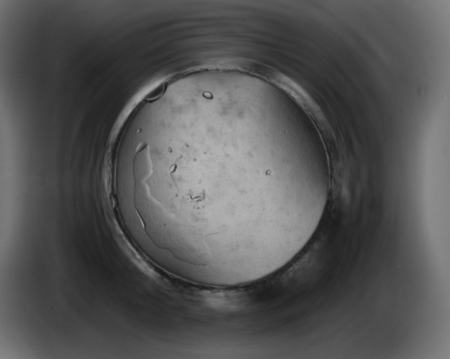 X0000087010804200704161541