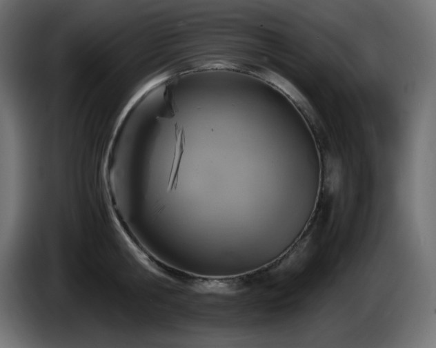 X0000087010806200704161541