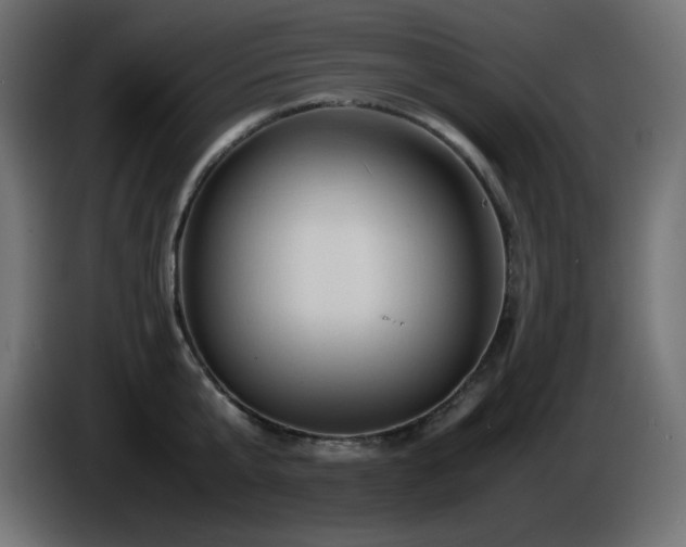 X0000087010807200704161541