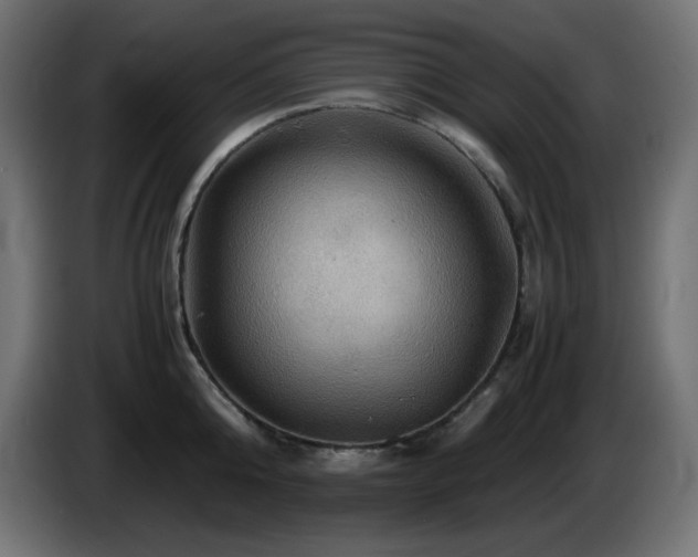 X0000087010808200704161541