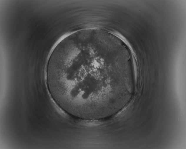 X0000087010811200704161541