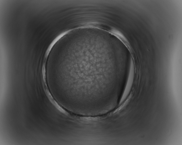 X0000087010812200704161541