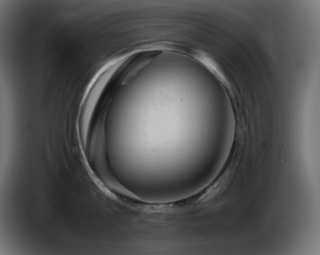 X0000087010813200704161541