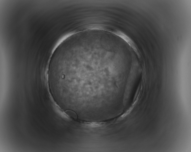 X0000087010814200704161541