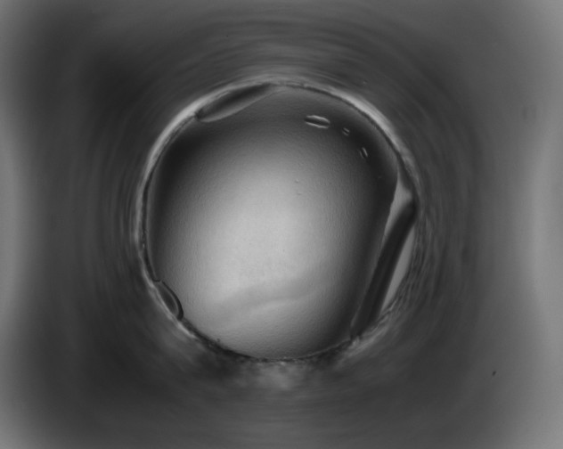 X0000087010815200704161541