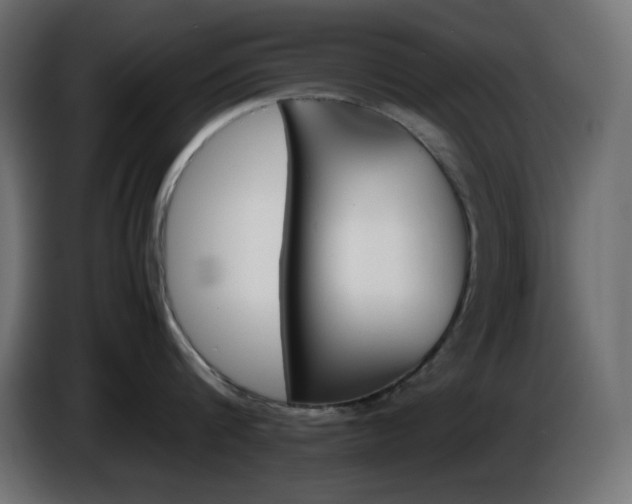 X0000087010816200704161541