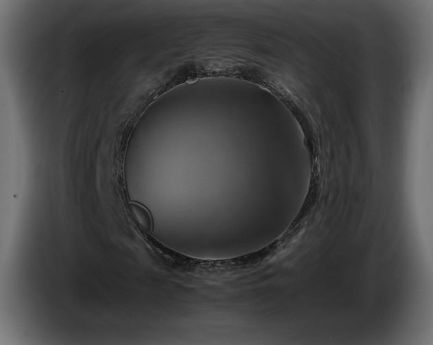 X0000087010817200704161540