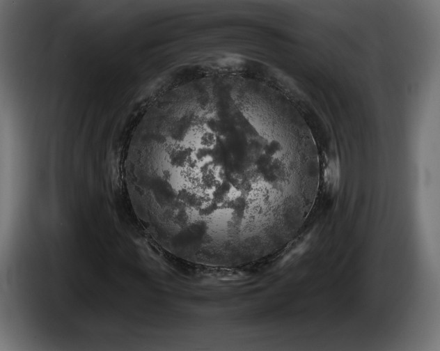 X0000087010819200704161540
